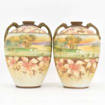 A pair of hand painted Japanese porcelain vases of ovoid form with branch-style handles, a central