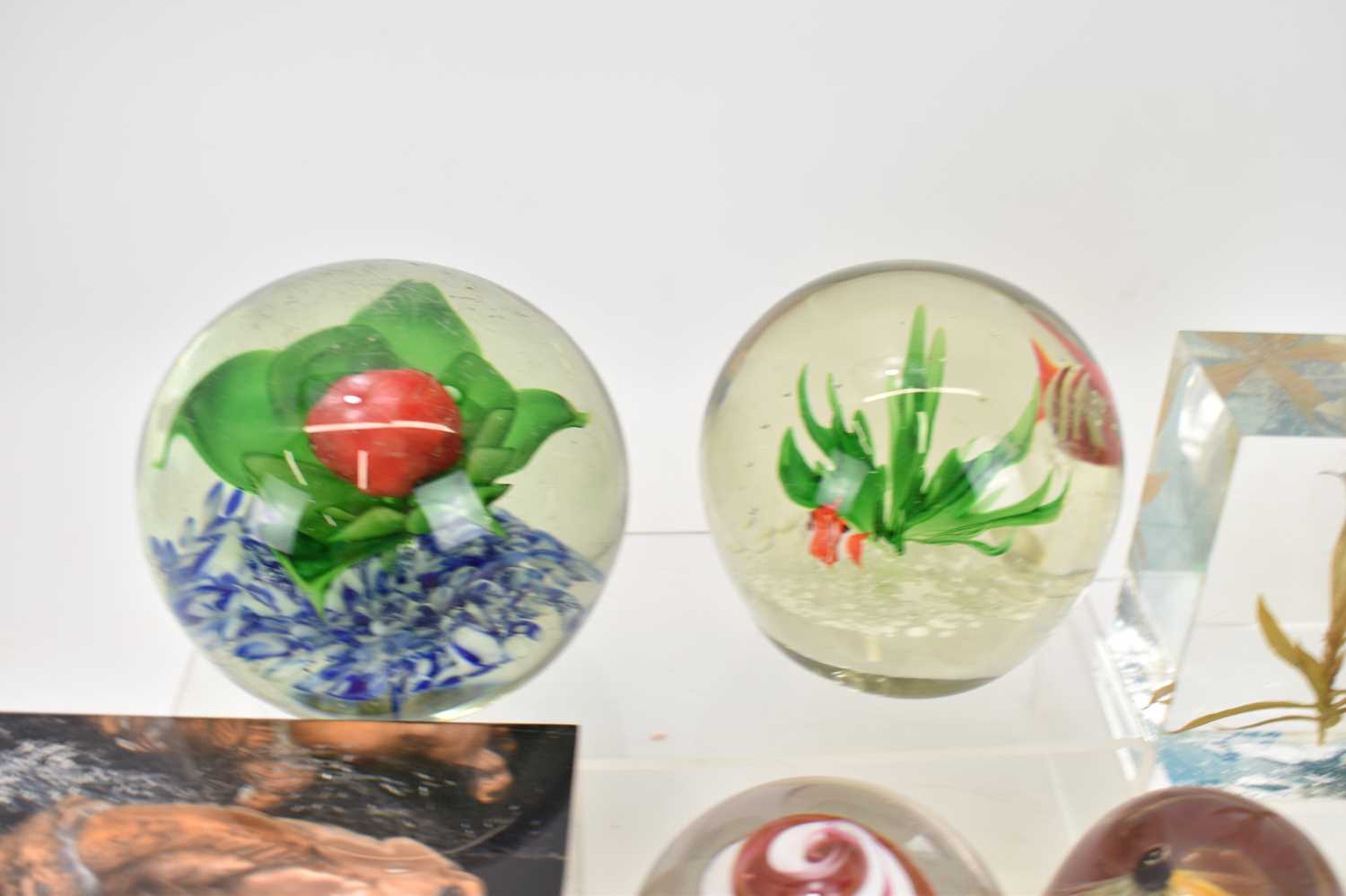 Various art glass paperweights and vases, to include an iridescent finish example, encased flowers - Bild 2 aus 5