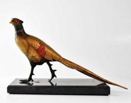 MANGREB; an Austrian cold painted bronze figure of a pheasant, on an associated black hardstone