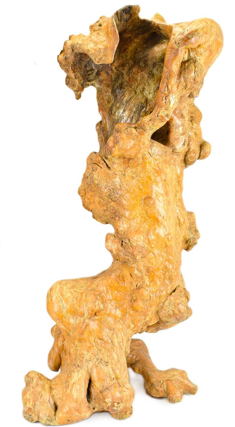 A large decorative tree root sculpture with a polished patina, approx. 95 x 50cm.