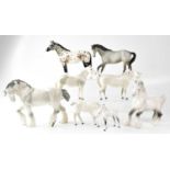 BESWICK; eight grey and dappled horses to include an Appaloosa, a shire, shire mare, dappled foal,