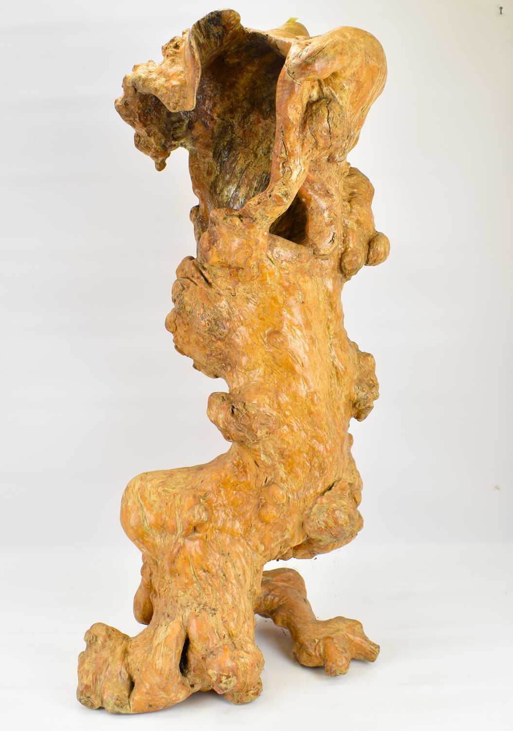A large decorative tree root sculpture with a polished patina, approx. 95 x 50cm. - Image 2 of 2