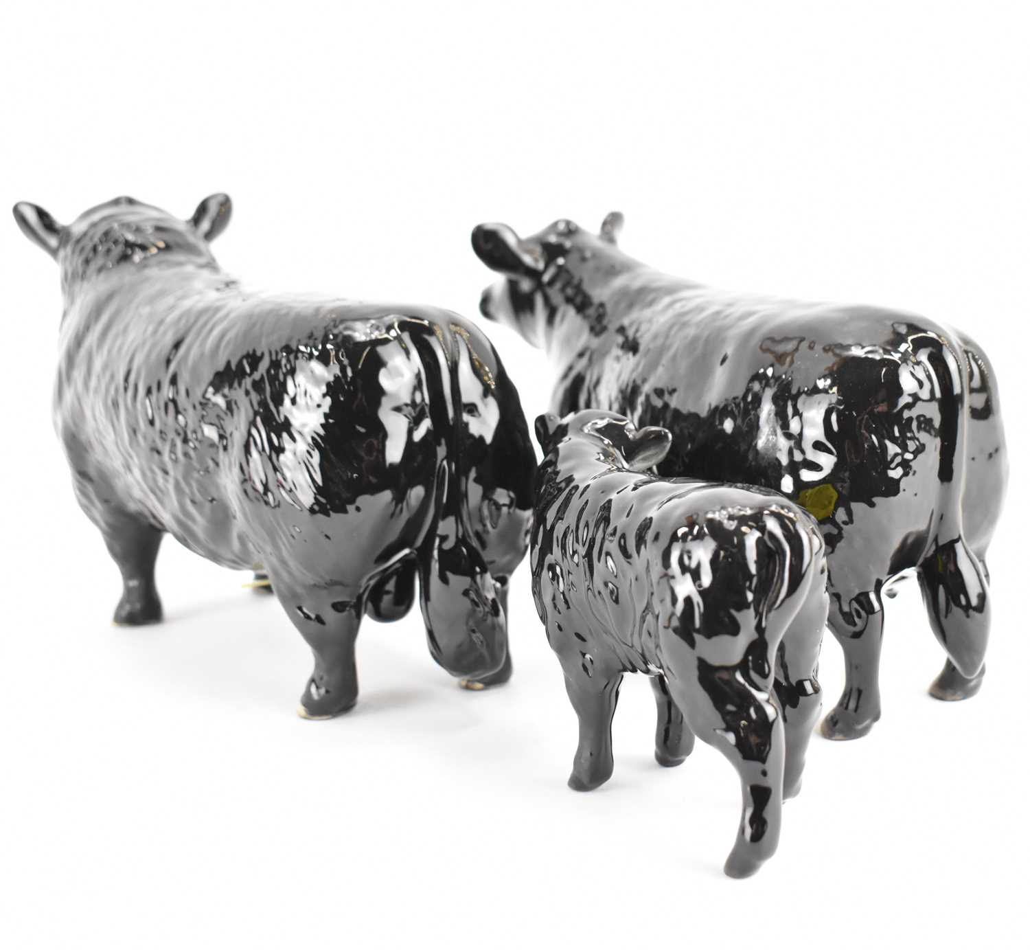 BESWICK; an Aberdeen Angus family group, comprising Bull 1562, Cow 1563 and Calf 1827A, marked to - Image 5 of 5