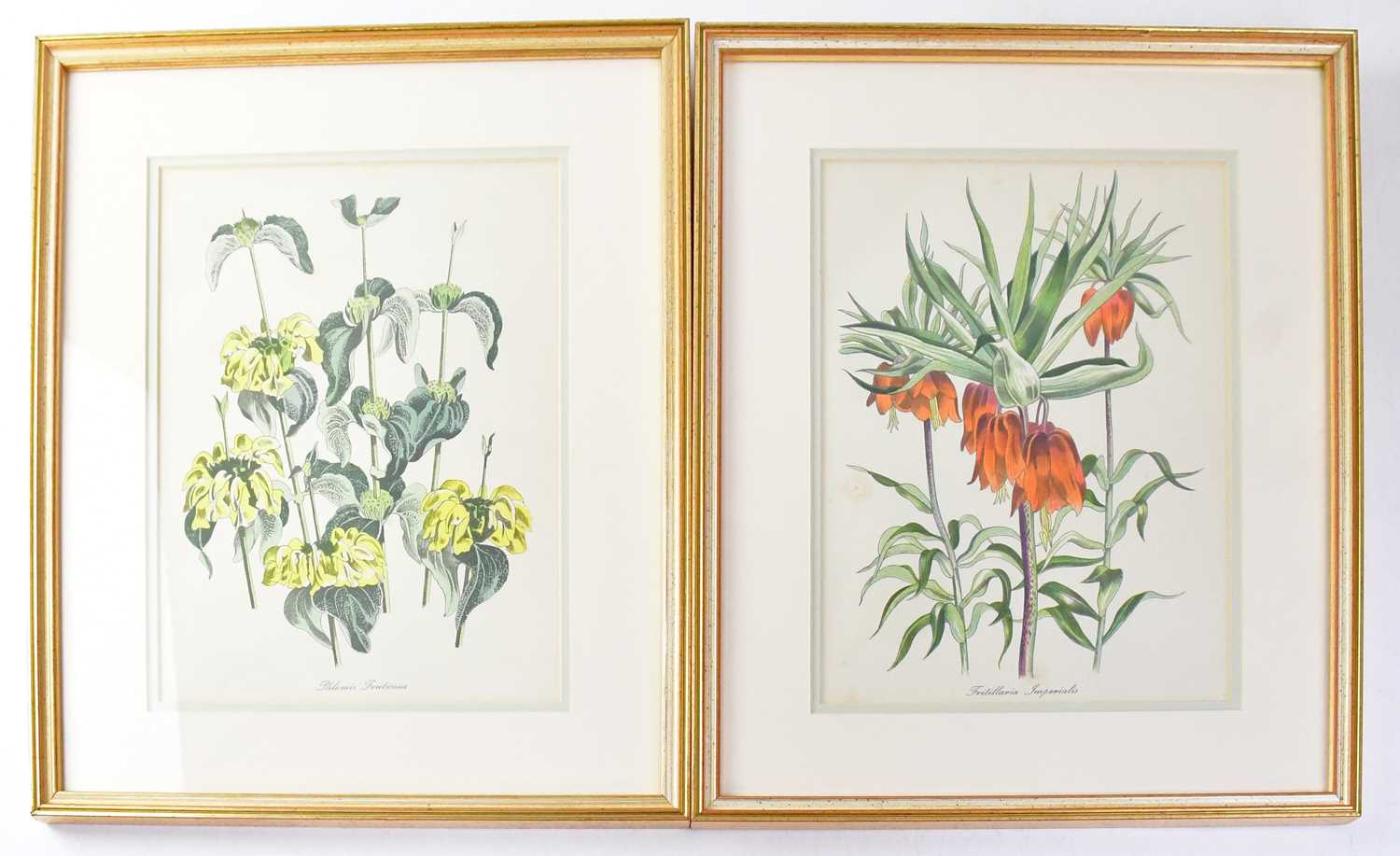 JOHN NASH (1893-1977); a set of twelve colour lithographs, English Garden Flowers, printed by W S - Image 3 of 6