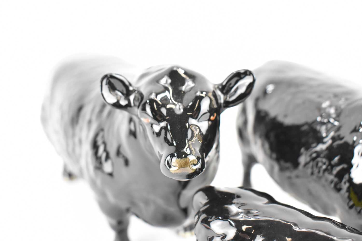 BESWICK; an Aberdeen Angus family group, comprising Bull 1562, Cow 1563 and Calf 1827A, marked to - Image 2 of 5