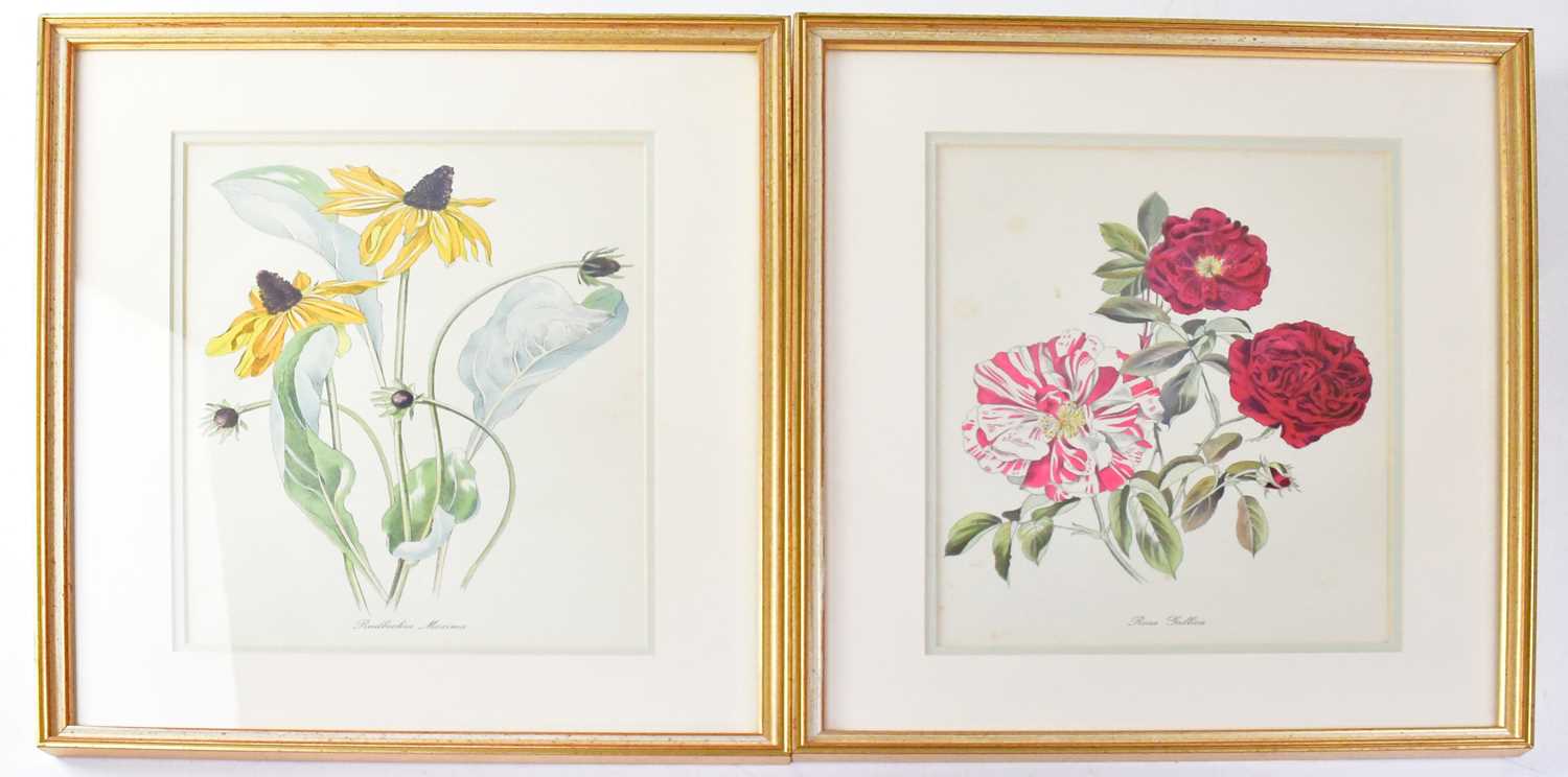 JOHN NASH (1893-1977); a set of twelve colour lithographs, English Garden Flowers, printed by W S - Image 2 of 6