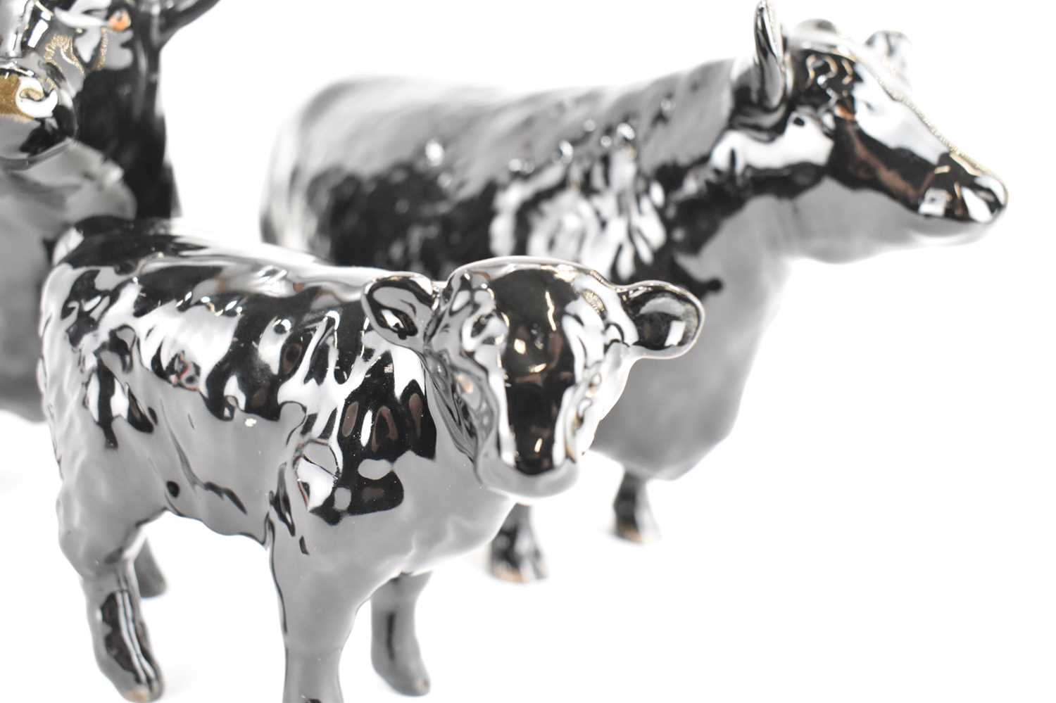 BESWICK; an Aberdeen Angus family group, comprising Bull 1562, Cow 1563 and Calf 1827A, marked to - Image 4 of 5