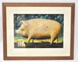 20TH CENTURY ENGLISH SCHOOL; acrylic, study of a giant pig stamped with the number '85', unsigned,