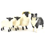 BESWICK; a Black Face Ram, two lambs and a Collie dog (4). Condition Report: - Good no noticeable