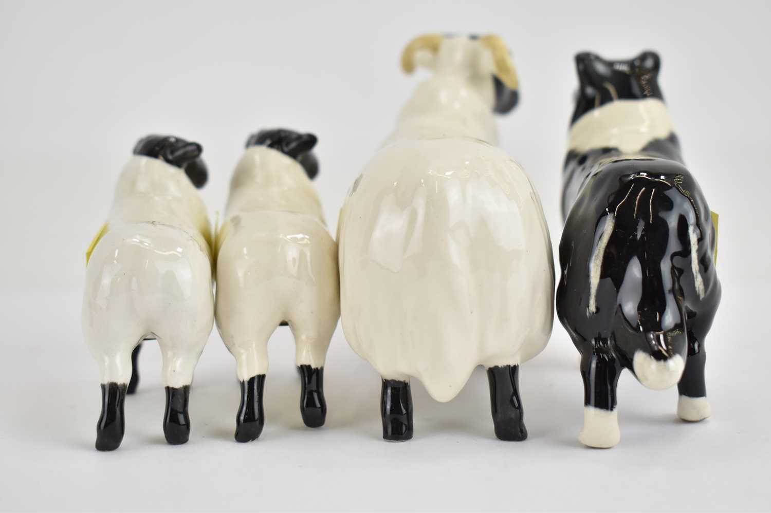 BESWICK; a Black Face Ram, two lambs and a Collie dog (4). Condition Report: - Good no noticeable - Image 3 of 3