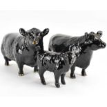 BESWICK; an Aberdeen Angus family group, comprising Bull 1562, Cow 1563 and Calf 1827A, marked to