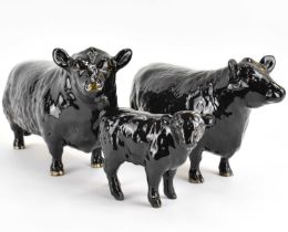 BESWICK; an Aberdeen Angus family group, comprising Bull 1562, Cow 1563 and Calf 1827A, marked to