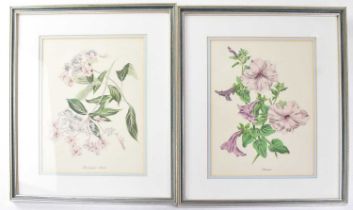 JOHN NASH (1893-1977); a set of twelve colour lithographs, English Garden Flowers, printed by W S