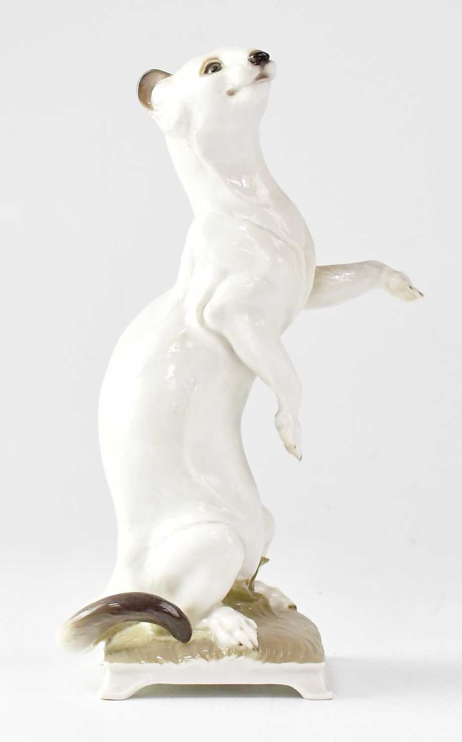 NYMPHENBURG; a 20th century porcelain model of a weasel, by August Gohring, printed mark and