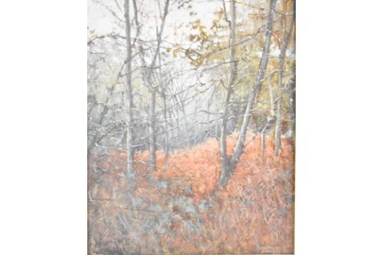 † DERRICK JENNINGS (1920-2015); oil on canvas, autumn woodland scene, signed lower right, 29 x 23cm, - Image 2 of 4