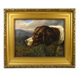 ALFRED SHELDON WILLIAMS (1841-1880); oil on canvas, study of a gun dog with landscape beyond, signed