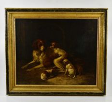 19TH CENTURY ENGLISH SCHOOL; oil on board, study of a dog with five puppies, unsigned, 46 x 56cm,