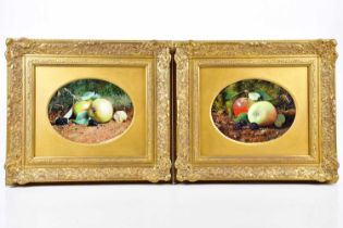 † DEREK SHAPIRO; pair of oils on board, still life, 16 x 21cm, in gilt frames.