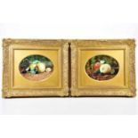 † DEREK SHAPIRO; pair of oils on board, still life, 16 x 21cm, in gilt frames.