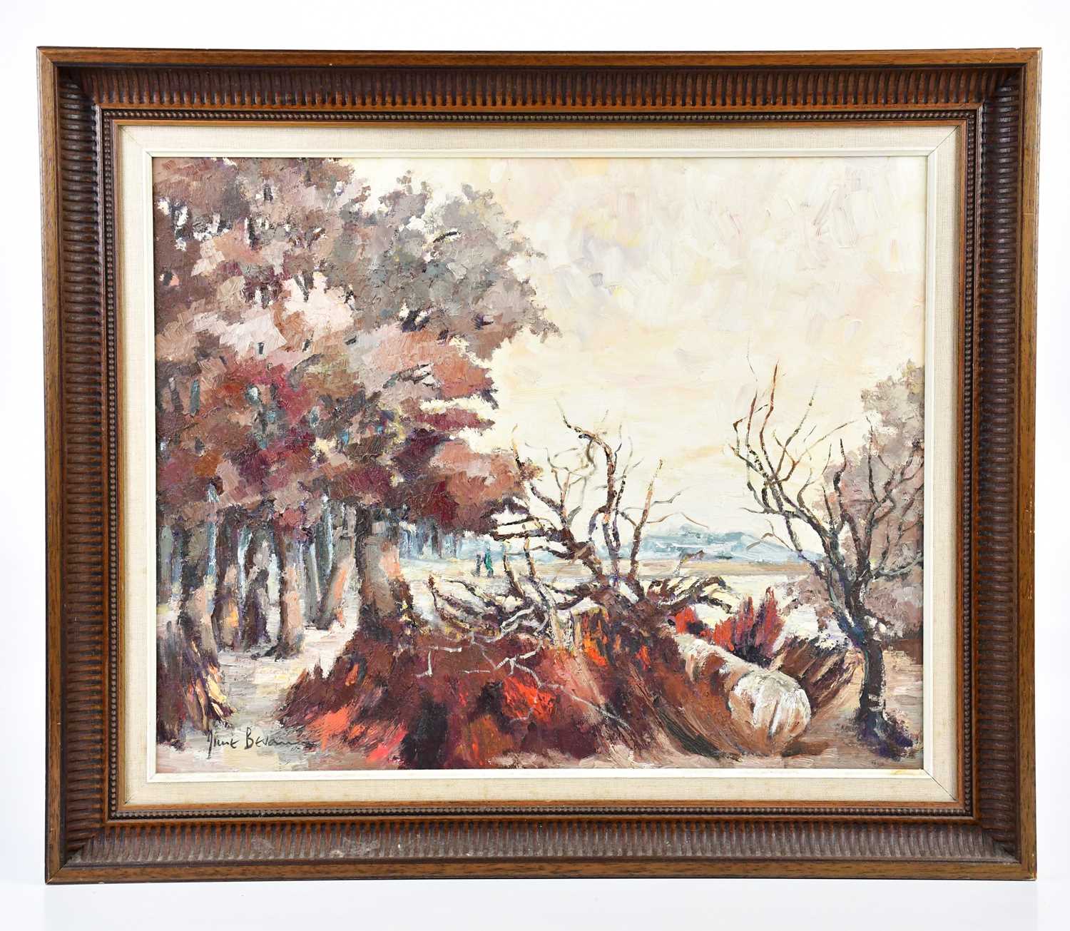 † JUNE BEVAN; oil on board, 'The Fallen Tree', signed lower left, 40 x 50cm, framed.