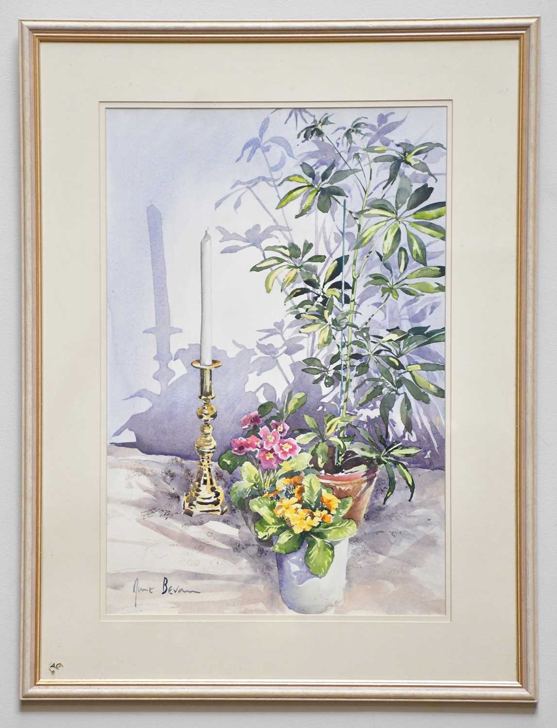 † JUNE BEVAN; watercolour, 'Umbrella Plan Primulus and Brass Candlesticks', signed lower left, 54