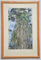 † JUNE BEVAN; watercolour, 'The Mature Cheese Plant in Buxton Pavilion', signed lower left, 55 x