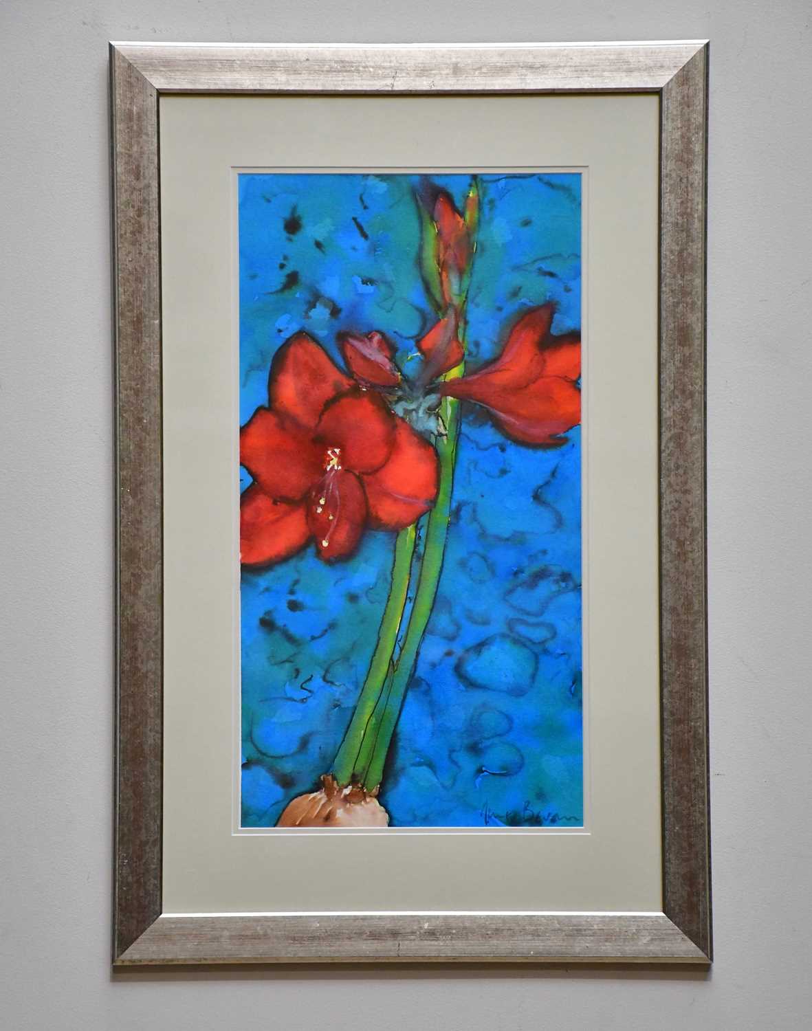 † JUNE BEVAN; watercolour, 'Amaryllis', signed lower right, 53 x 28cm, framed and glazed.