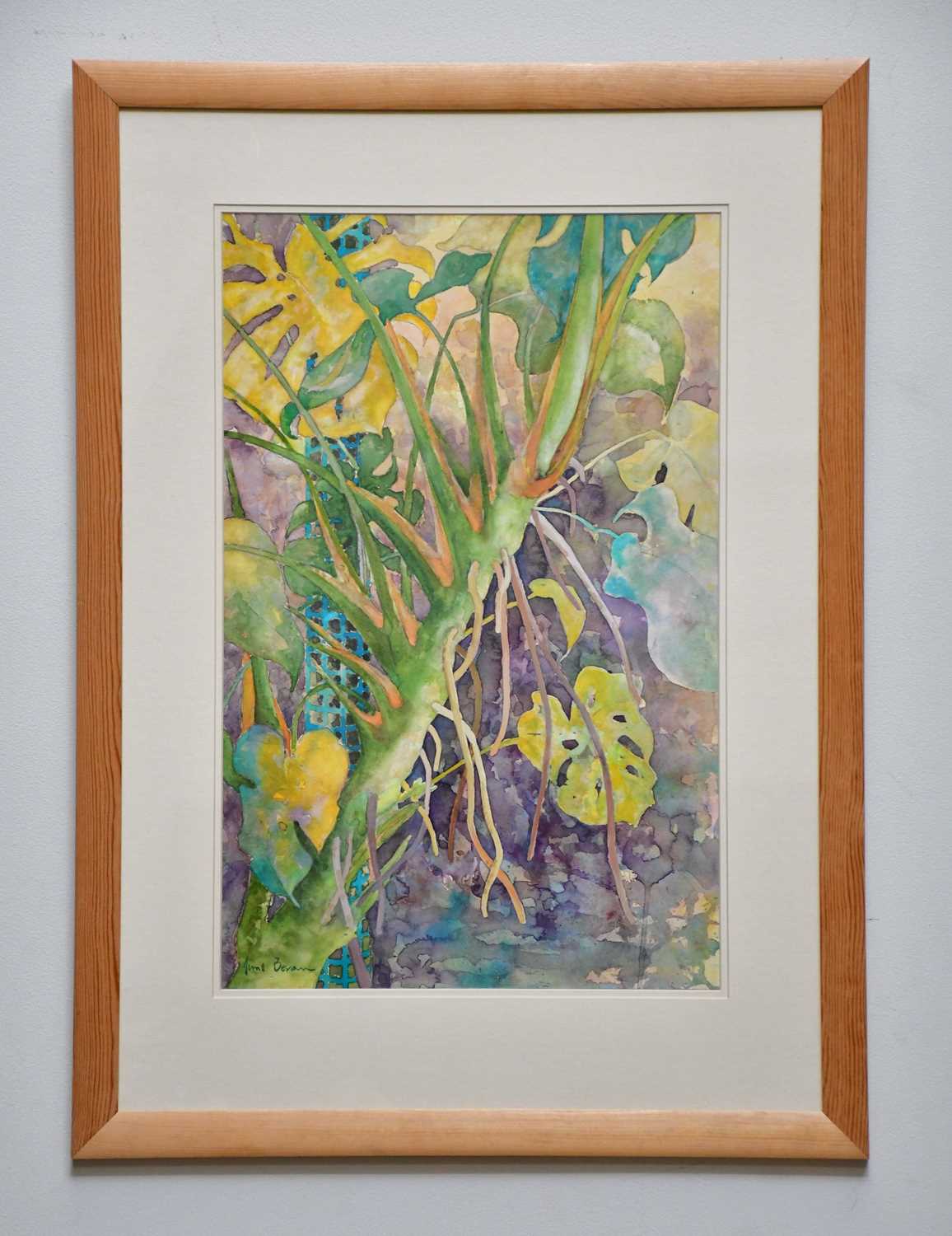 † JUNE BEVAN; watercolour, 'Wild Monstera Deliciosa (Swiss Cheese Plant)', signed lower left, 51 x