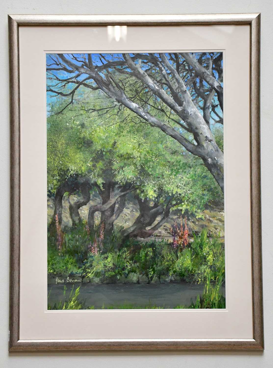 † JUNE BEVAN; mixed media, 'Trees at Styal Mill', signed lower left, 56 x 38cm, framed and glazed.