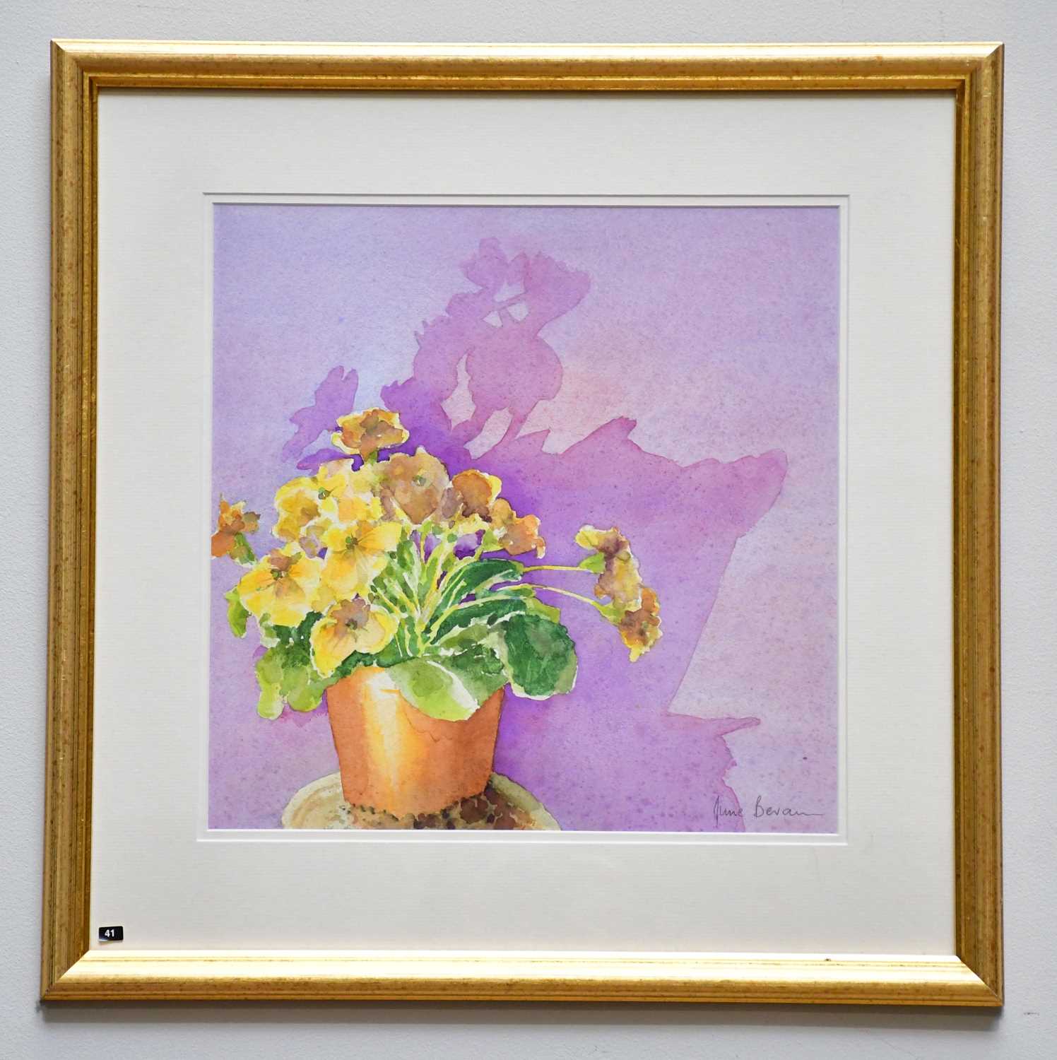 † JUNE BEVAN; watercolour, 'Yellow Primula on Pink', signed lower right, 33 x 33cm, framed and