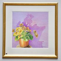 † JUNE BEVAN; watercolour, 'Yellow Primula on Pink', signed lower right, 33 x 33cm, framed and