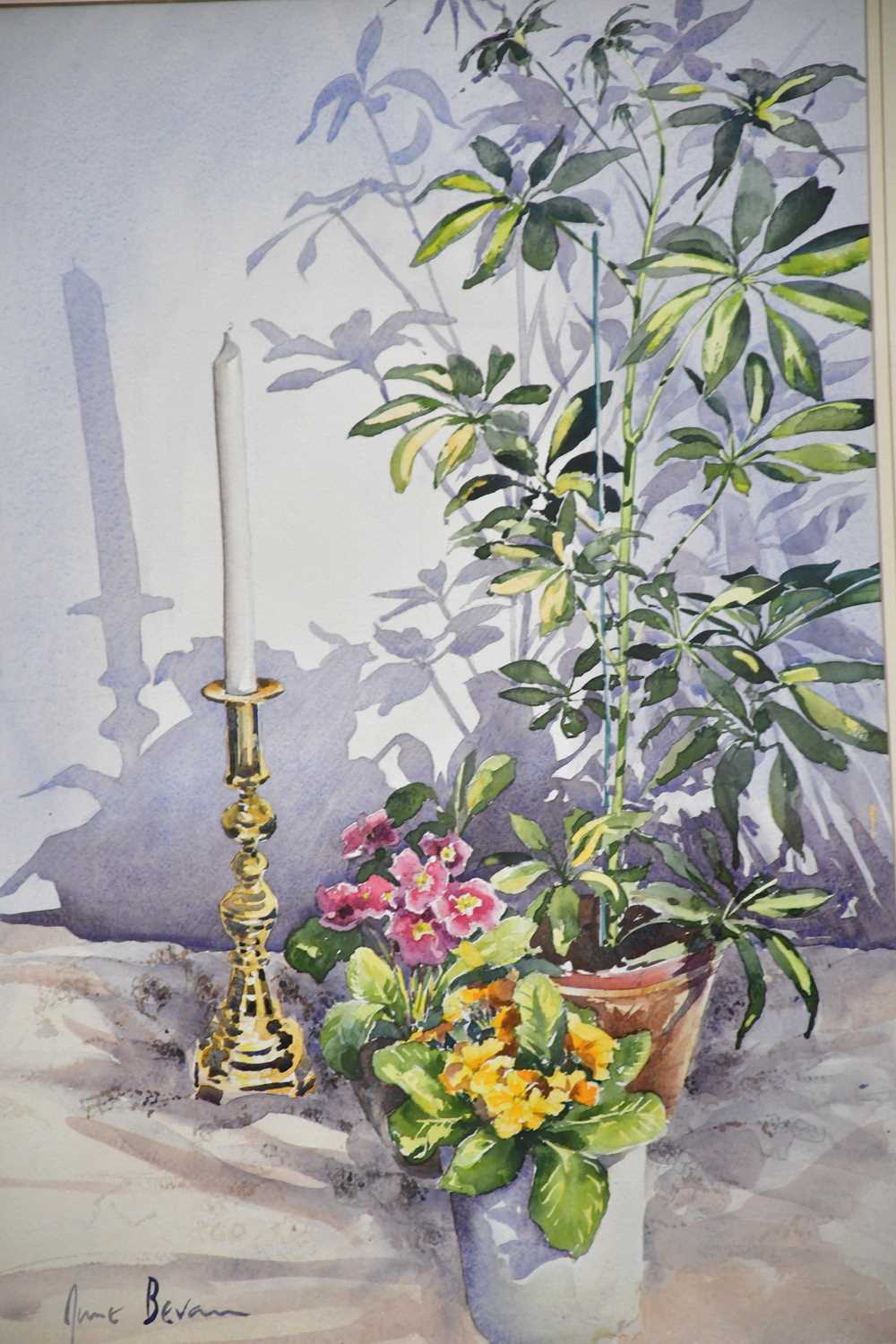 † JUNE BEVAN; watercolour, 'Umbrella Plan Primulus and Brass Candlesticks', signed lower left, 54 - Bild 2 aus 2