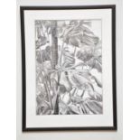 † JUNE BEVAN; charcoal drawing, 'Monstera Deliciosa', signed lower right, 58 x 41cm, framed and