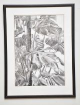 † JUNE BEVAN; charcoal drawing, 'Monstera Deliciosa', signed lower right, 58 x 41cm, framed and