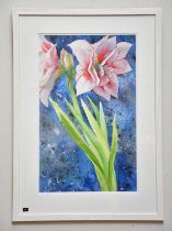 † JUNE BEVAN; watercolour, 'Red Rimmed Amaryllis', signed lower left, 52 x 32cm, framed and glazed.