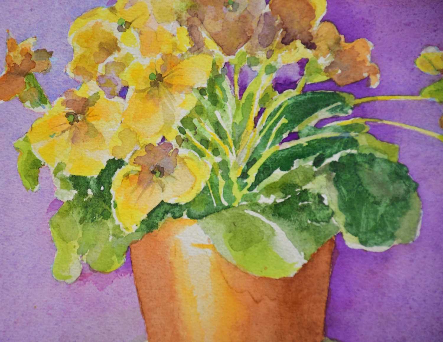 † JUNE BEVAN; watercolour, 'Yellow Primula on Pink', signed lower right, 33 x 33cm, framed and - Image 2 of 2