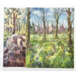 † JUNE BEVAN; two oils on canvas, 'Near Sheffield' and 'Daffodils of Cale Green', both signed