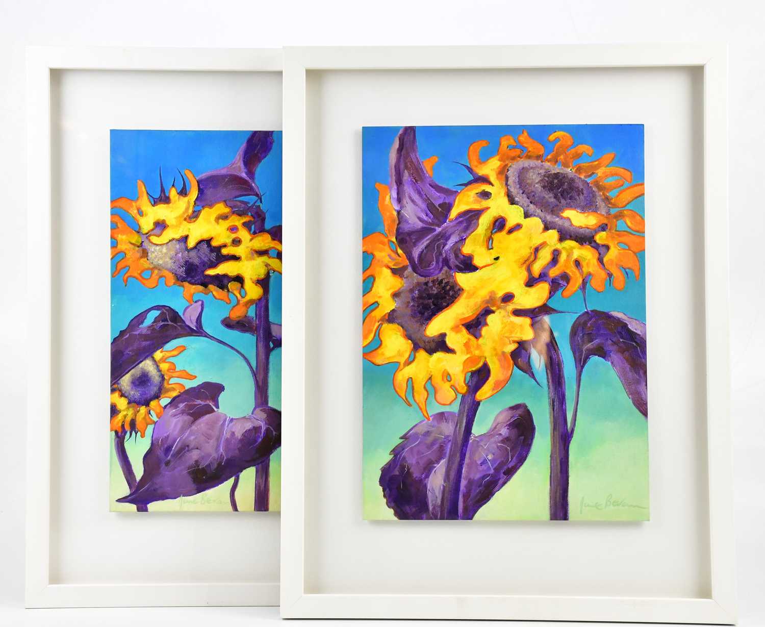 † JUNE BEVAN; a pair of oils on board, 'Sunflowers' and 'Sociable Sunflowers', both signed, 36 x