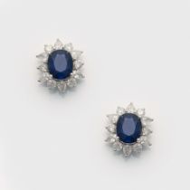 Paar klassische Saphir-Diamant-Ohrringe
