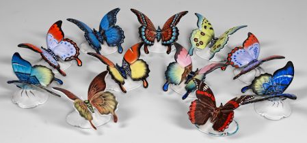 Elf Schmetterlinge