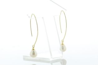 8.5 - 9.0mm Freshwater Cultured Pearl Gold Plated Oval Hoop Silver Earrings - Valued By AGI £250.