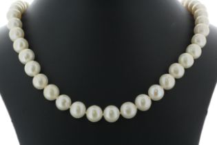 18 inch Freshwater Cultured 8.5 - 9.0mm Pearl Necklace With Gold Plated Silver Clasp - Valued By AGI