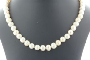 26 Inch Freshwater Cultured 7.0 - 7.5mm Pearl Necklace