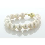 Freshwater Cultured 8.5 - 9.0mm Pearl Bracelet With Gold Plated Silver Clasp
