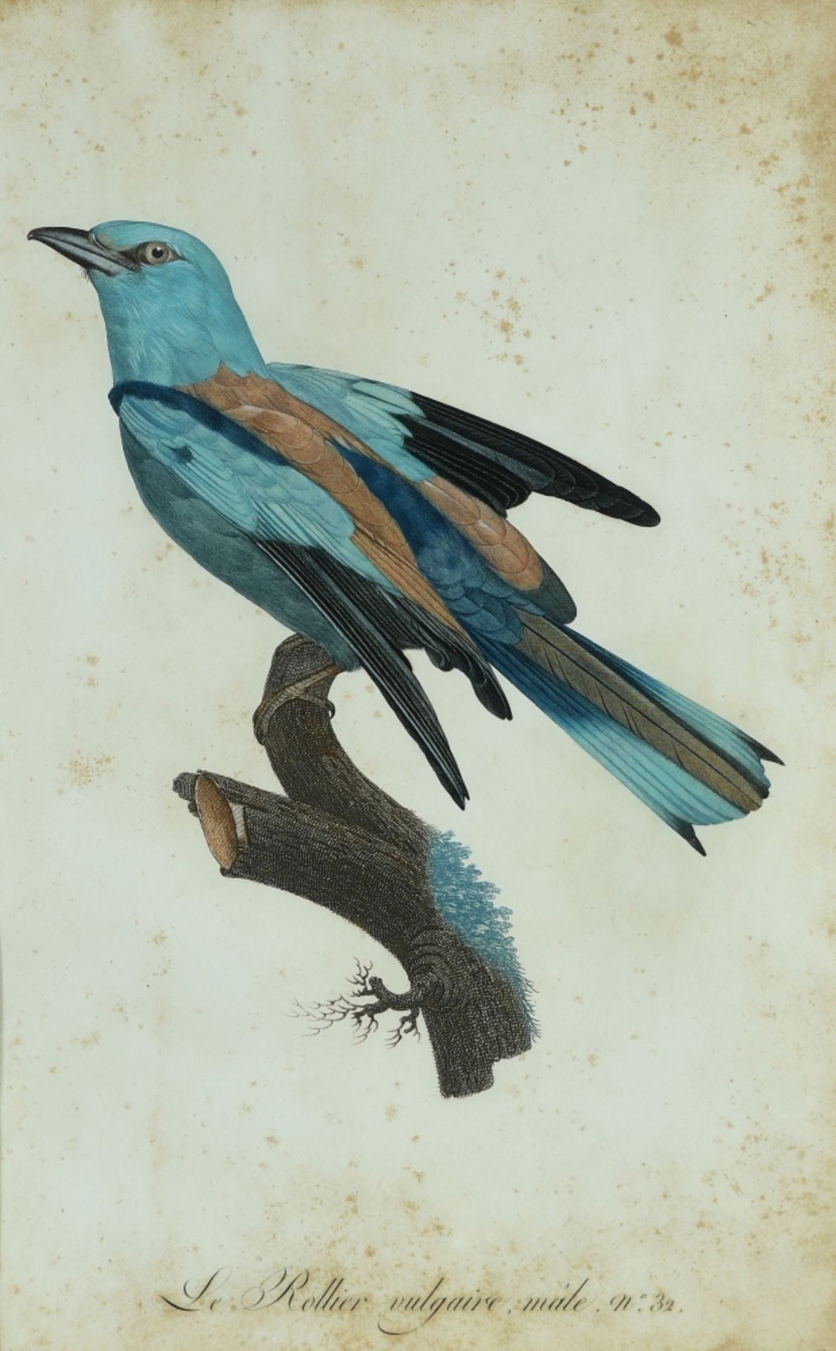 Pérée, Jacques Louise, 1769 - 1832 - Bild 5 aus 5