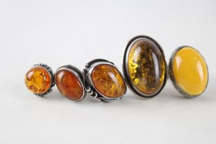 Five silver amber set rings (43g)