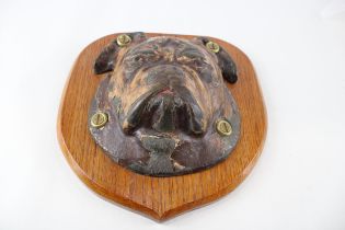 Vintage Cast Iron Painted Novelty British Bulldog Wall Plaque // Dimensions - 21.5cm(w) x 24cm(h) In