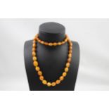Butterscotch Amber necklace individually knotted (42g)