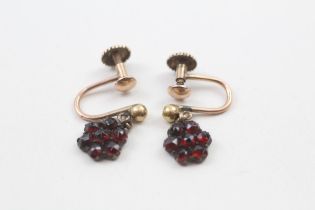 9ct gold victorian drop garnet cluster screw back earrings (2.1g)