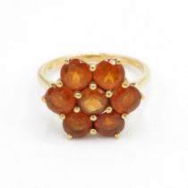 10ct gold orange garnet cluster ring, claw set (3.2g) Size N 1/2